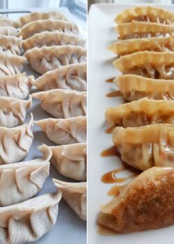 Gyoza vegetariani